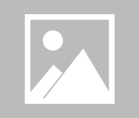 爱游戏 - 字母哥赛事官方发布精彩发挥新规，雄鹿争议不断！